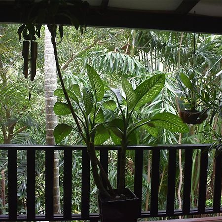 Bed and Breakfast Oskar's Rain Forest Retreat Nelly Bay Exterior foto