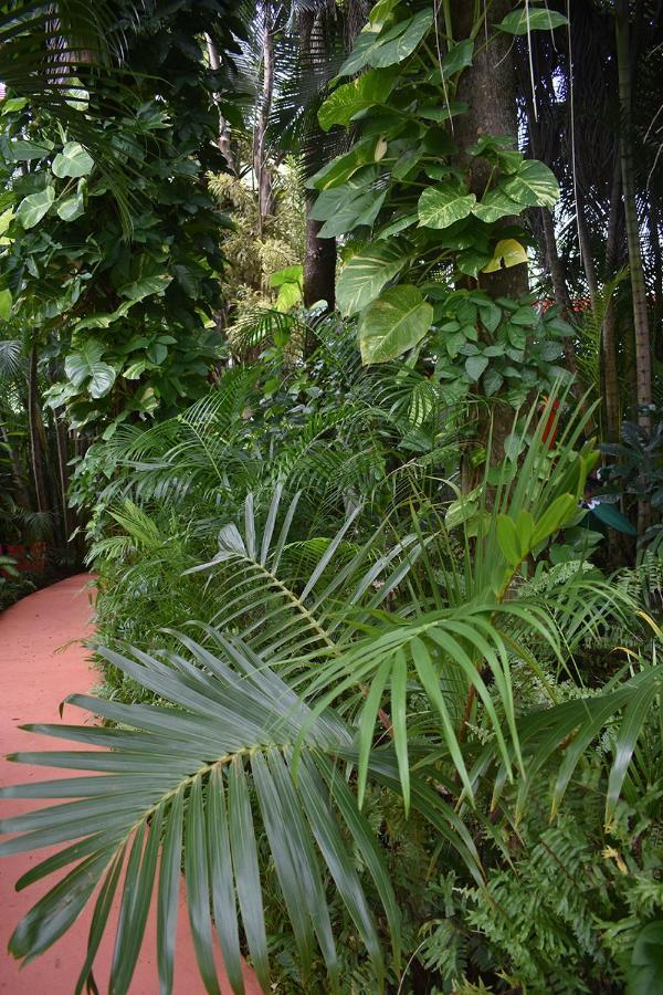 Bed and Breakfast Oskar's Rain Forest Retreat Nelly Bay Exterior foto