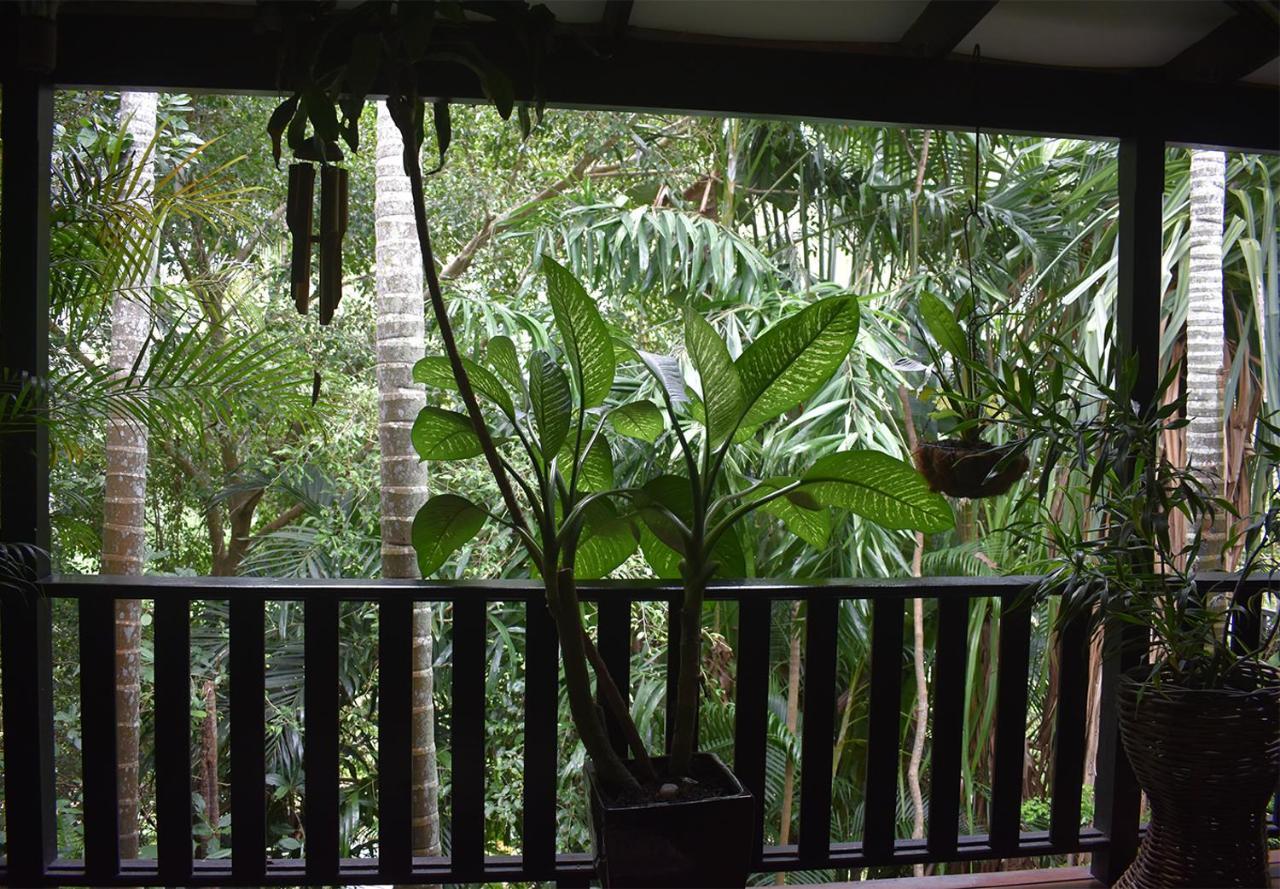 Oskar's Rain Forest Retreat Nelly Bay Exterior foto